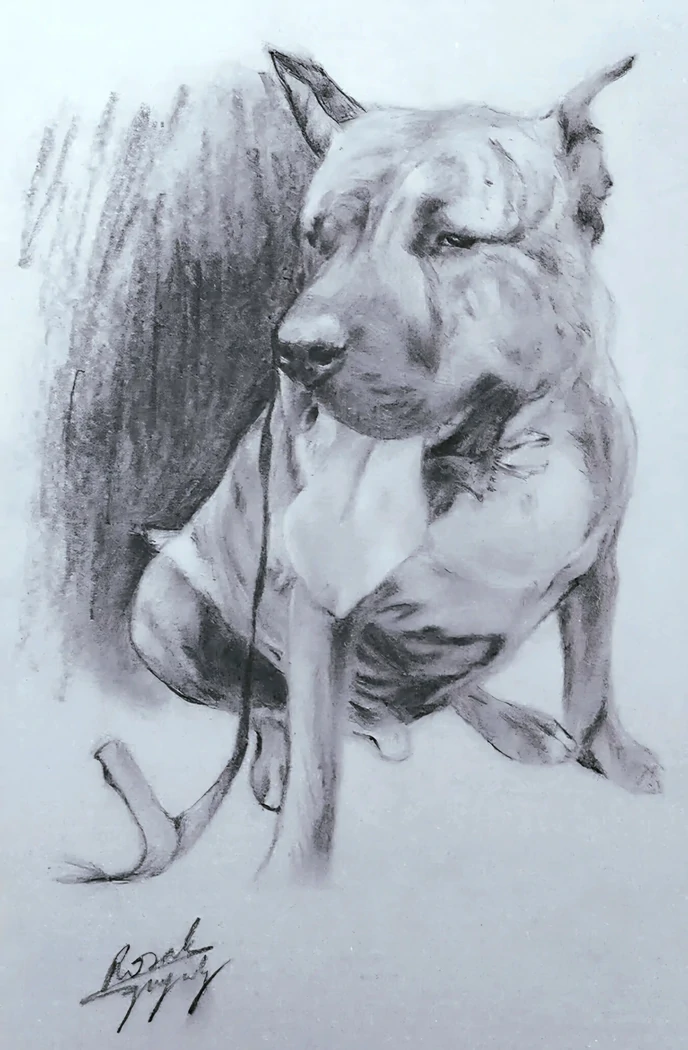 "Chien" Portrait animalier réalisé à la mine de plomb - Conservé en Vendée(85)
